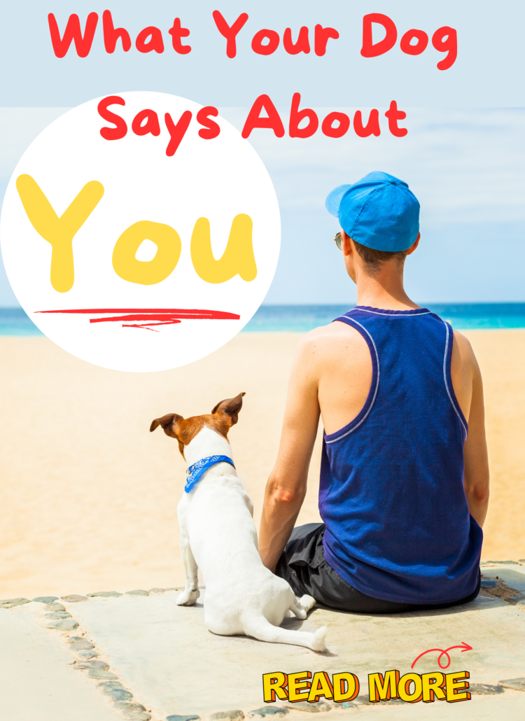 what your dog says about you