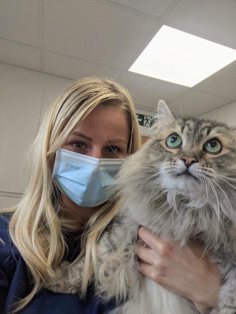 vet and cat