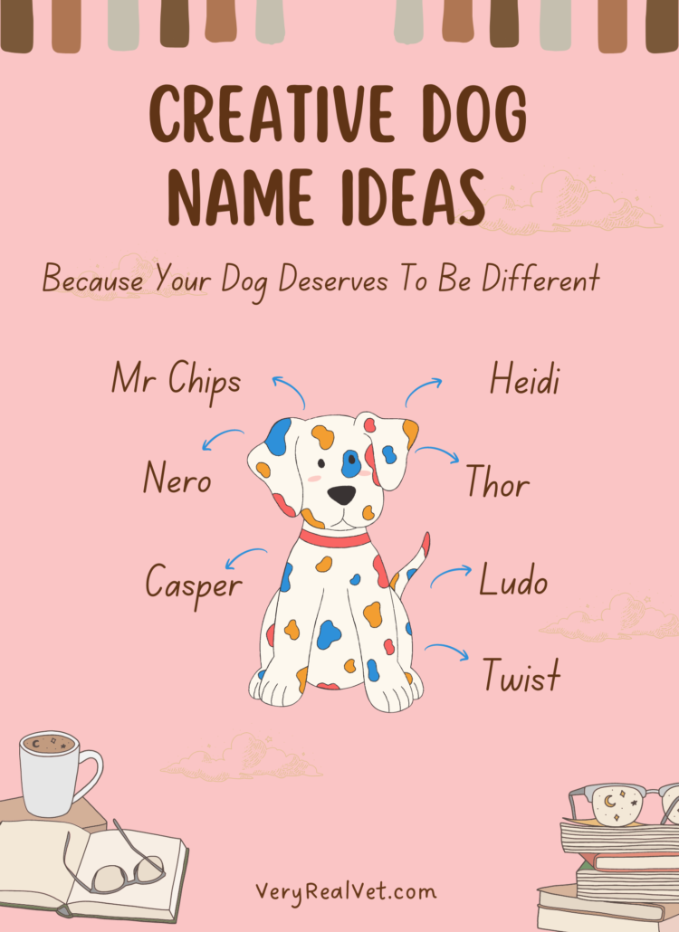 Creative Dog Name Ideas
