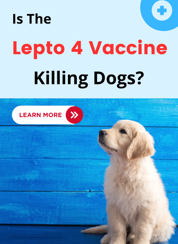 is the Lepto 4 vaccine killing dogs