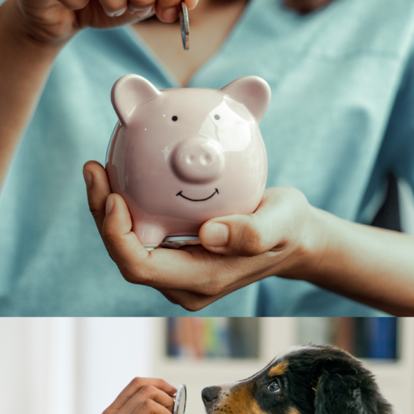how to save money on vet bills