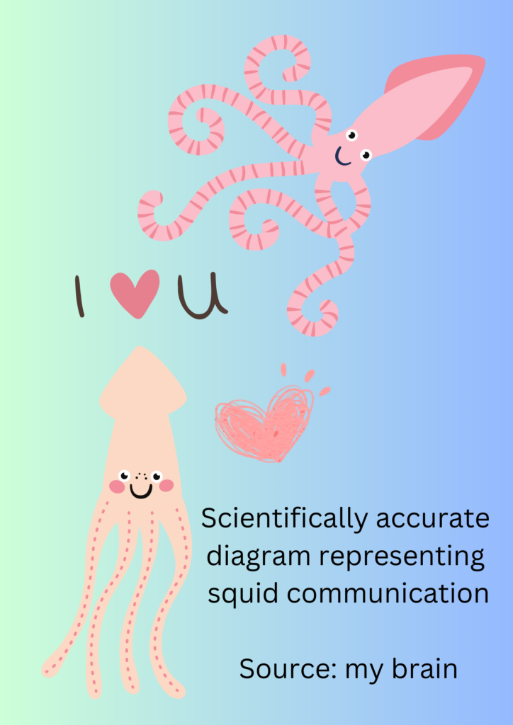 squid communication