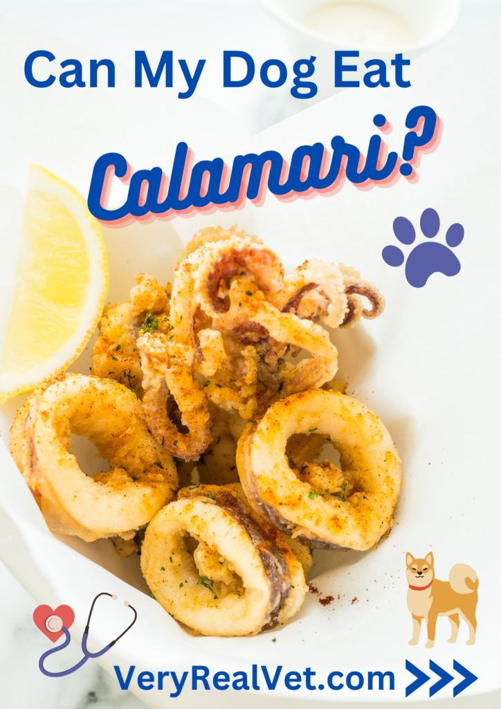 can my dog eat calamari
