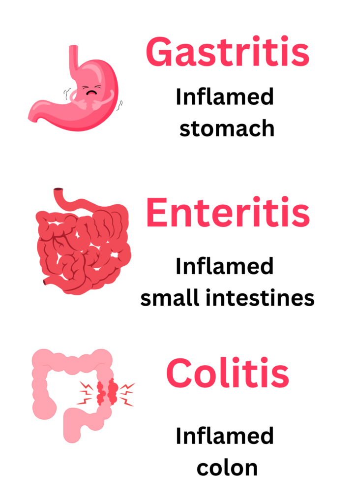 gastritis enteritis colitis