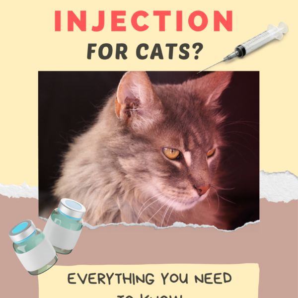 arthritis injection for cats