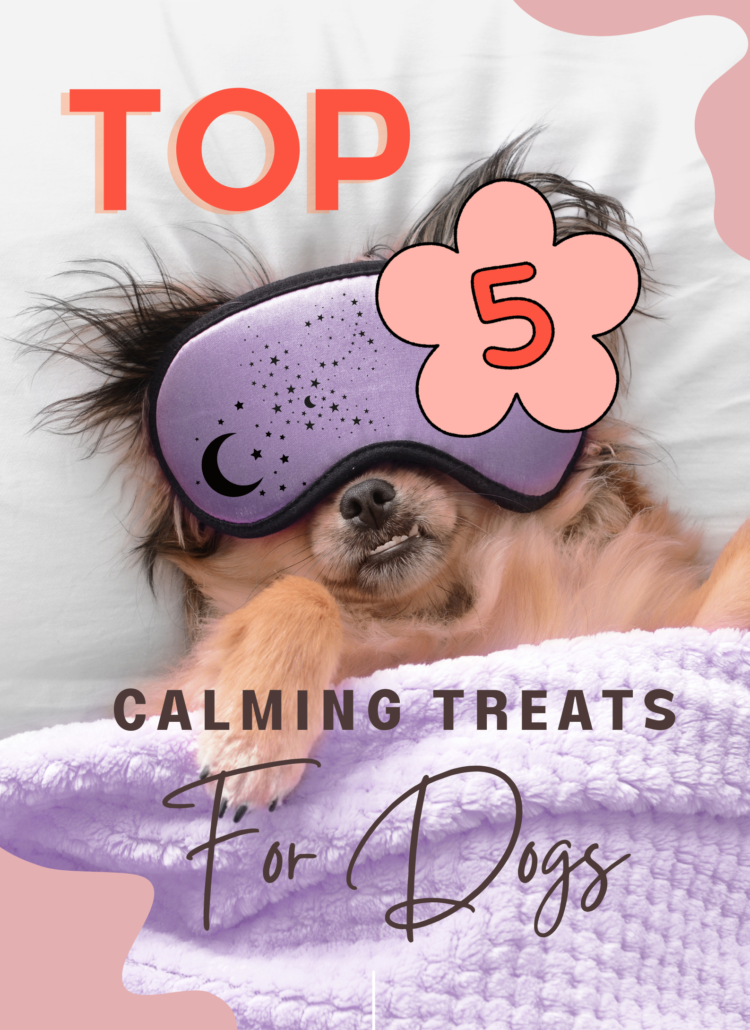 Top 5 Best Calming Treats for Dogs